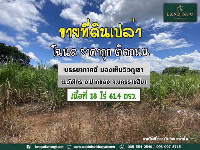 #ขายที่ดินโฉนดติดถนนวิวภูเขา # บ้านวังไทร #ถูกมาก ต.วังไทร อ.ปากช่อง จ.นครราชสีมา