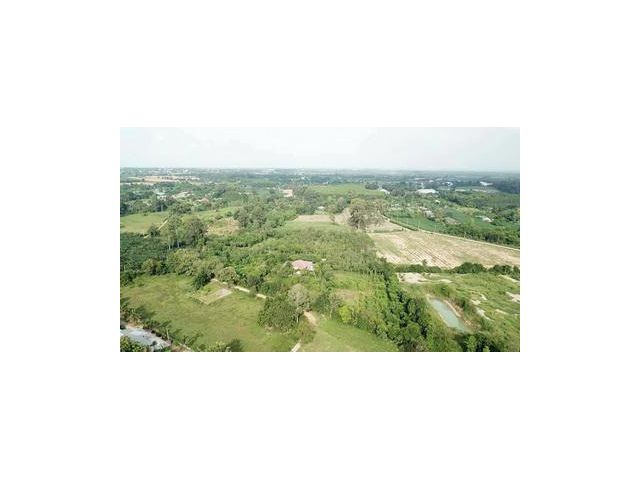 ขายสวนไม้ผสม พร้อมบ้านเดี่ยวชั้นเดียว 1 หลัง