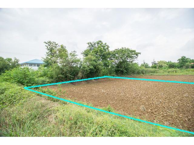 ขาย ที่ดิน ติดถนนเข้าใกล้ ฉะเชิงเทรา-กบินทร์(304)