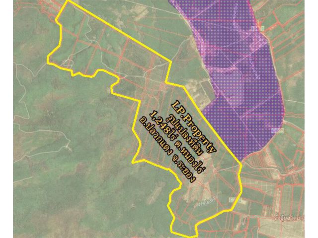 ขายที่ดินแปลงใหญ่ เขตEEC ต.หนองไร่ อ.ปลวกแดง จ.ระยอง 1,248 ไร่