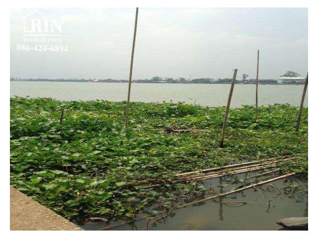 L643 ขายที่ดิน 169 ตรว. ริมแม่น้ำเจ้าพระยา วิวแม่น้ำ บ้านปทุม สามโคก ปทุมธานี