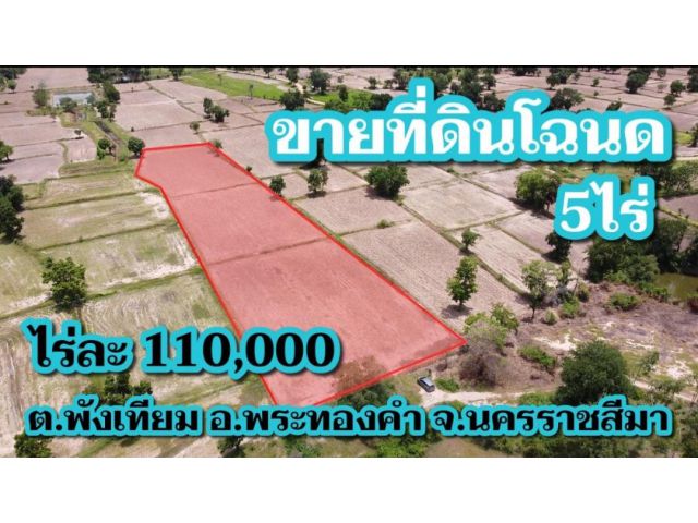 ขายที่ดินโฉนด 5ไร่ นครราชสีมา ไร่ละ 110,000