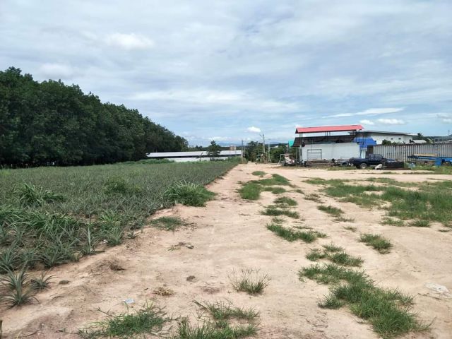 ที่ดิน2ไร่นิคมพัฒนา ซ.14 เข้าซอย300เมตร ราคาถูกจริงๆ