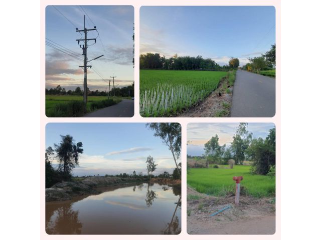 ขายที่ดินติดคลองสวยๆ 3 ไร่ หน้าติดถนนลาดยาง น้ำ-ไฟ ครบ ใกล้ถนน 331 อ.พนมสารคาม จ.ฉะเชิงเทรา