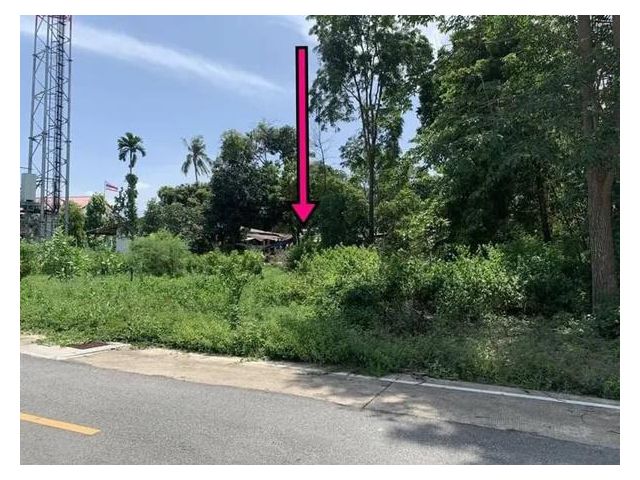 AK090721-02  ที่ดินเปล่า 100 ตร.ว. หนองเกตุใหญ่ 8 ต.หนองปลาไหล บางละมุง ชลบุรี