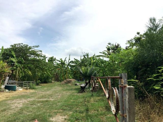 ขาย ที่ดินเปล่า 2 ไร่ ราคาถูก ในซอยวัดพระเงิน(บางใหญ่)