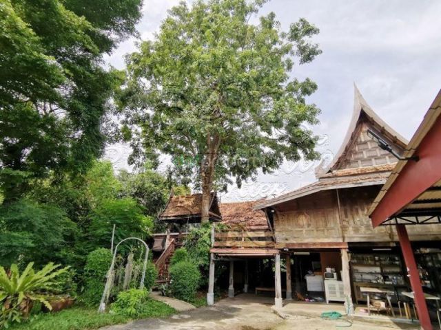 PR589ขายที่ดิน 352 ตรวซอยวชิรธรรมสาธิต 44 (ซอยสุขุมวิท 101/1) ถ.สุขุมวิท, แขวงบางจาก, เขตพระโขนง, กรุงเทพมหานคร 10260