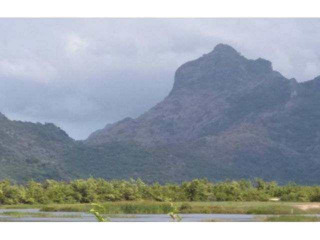 ขายที่ดินโฉนด 250 ไร่ หน้าที่ดินติดถนนลาดยางทางหลวงชนบท วิวเขา 360 องศา