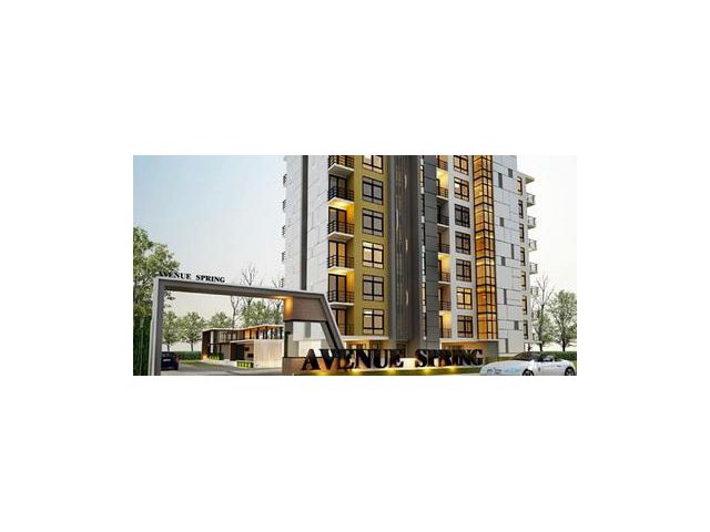 คอนโดมิเนียม ดิ อเวนิว สปริงบี 22 ตารางเมตร