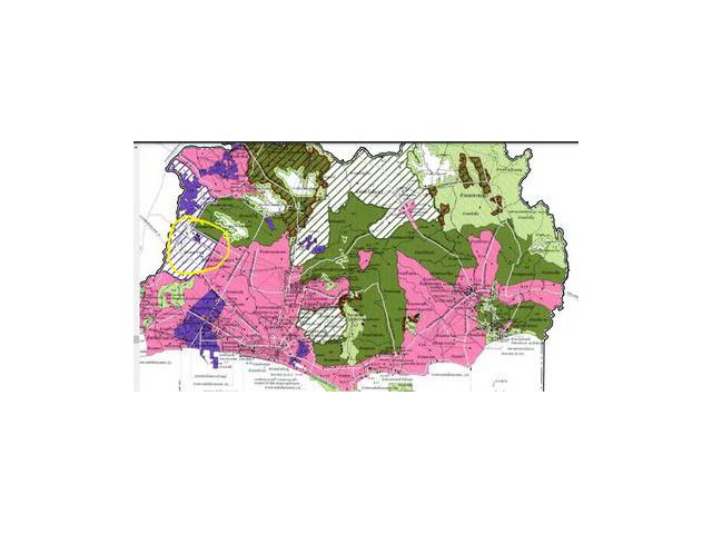 ที่ดินเปล่าทำเลดี 11 ไร่ 2 งาน 95 ตารางวา