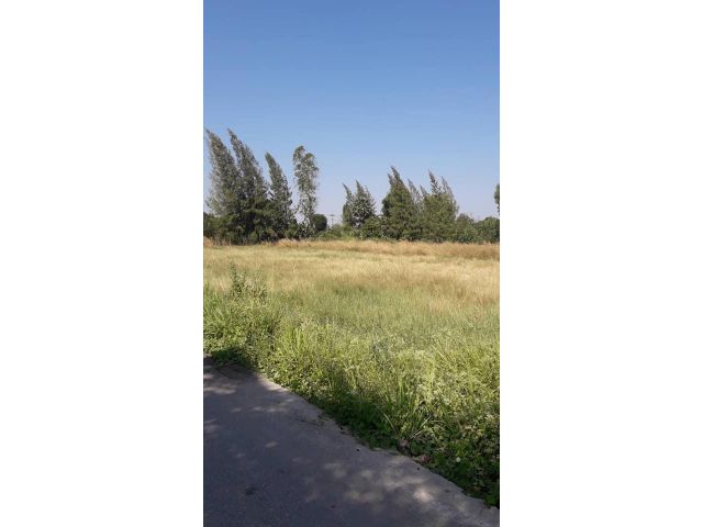 ขายที่ดินสวย3ไร่2งาน-หนองหงษ์ (อมตะชลบุรี) ถนนบ้านบึง-พานทอง