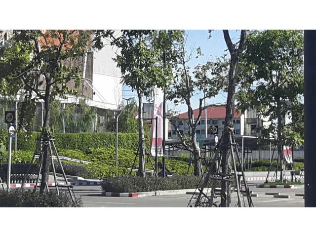 ขายที่ดิน11ไร่ หลังเซ็นทรัล สาขามหาชัย สมุทรสาคร