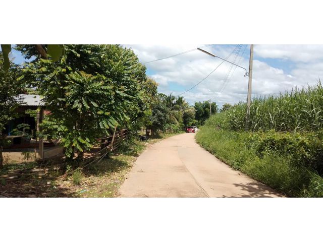 ที่ดินสำหรับสร้างบ้าน ต.จอมศรี อ.เชียงคาน จ.เลย 2 งาน 64 ตรว. เพียง 380,000 บาท