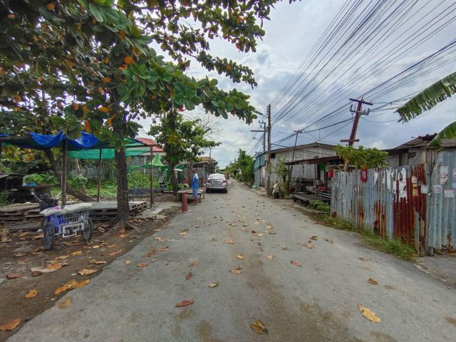 ที่ดินเปล่า เฉลิมพระเกียรติ ร.9 ซอย 28  เนื้อที่ 385 ตรว. ถนนบางนา เขตประเวศ 05639