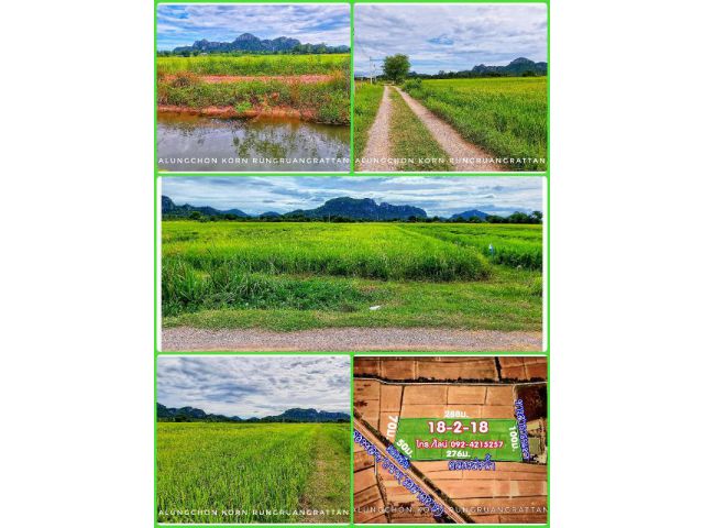 ขายที่นาสวย น้ำดีมาก ราคาถูก วิวภูเขาสวยๆ ไฟฟ้าประปาพร้อม อ.ปากท่อ จ.ราชบุรี