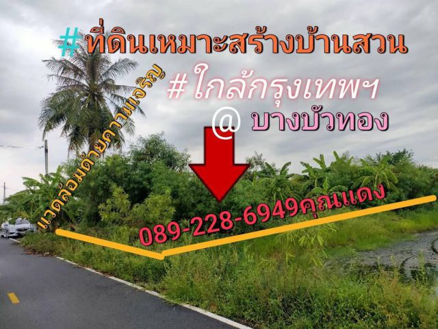 ขายที่ดิน210ตร.ว.ที่ดินรูปสี่เหลี่ยมผืนผ้า 11,000/ตรว.