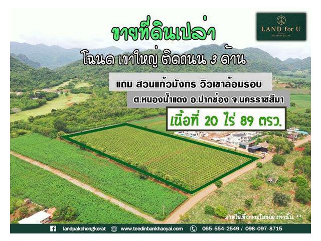 #ขายที่ดินเขาใหญ่ติดถนน3ด้าน #แถมสวนแก้วมังกร วิวเขาล้อมรอบ