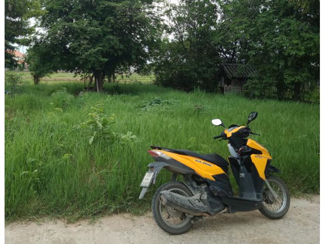 ที่ดินแปลงเล็กบ้านกอสะเลียม ต.บวกค้าง