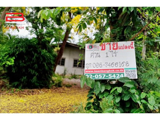 ที่ดินเปล่า วัดหนองอ้อตะวันตก เนื้อที่ 1 ไร่ ถ.ทางหลวงสาย 338 อ.บ้านโป่ง จ.ราชบุรี