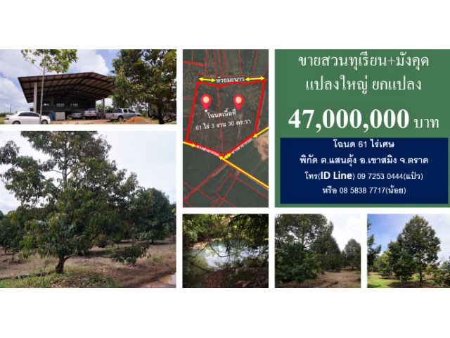 #ขายสวนทุเรียน #สวนมังคุด #โฉนด 61 ไร่เศษ #พิกัด ต.แสนตุ้ง #เขาสมิง #ตราด #ทำผลขายได้แล้ว #โทร0972530444