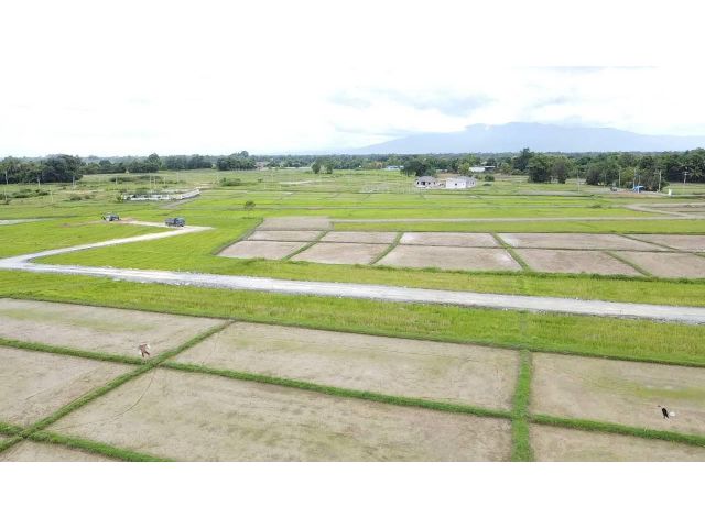ที่ดินจัดสรรขายบ้านป่าสักน้อย ต.เชิงดอย อ.ดอยสะเก็ด จ.เชียงใหม่