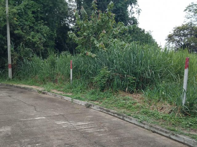 ที่ดินติดน้ำในโครงการเชียงใหม่เลคแลนด์
