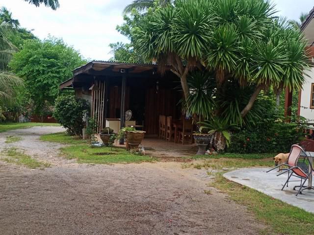 ขายที่ดิน 3 ไร่ พร้อมบ้าน 4 หลัง มีกิจการร้านอาหาร 1 ร้าน บ้านรังนก 1 หลัง ติดถนนใหญ่  ใกล้ทะเล วัด สถานีอนามัย ทำเลดีมาก บางสะพาน  จังหวัดประจวบคีรีข