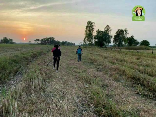 ที่นา 450,000 ต.สงเปือย/ยโสธร