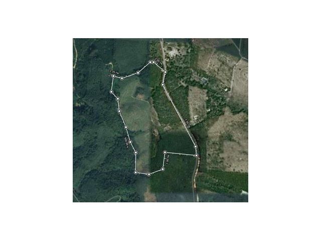 ที่ดินพร้อมสวนปาล์มและสวนยางพารา 48 ไร่ 33 ตารางวา