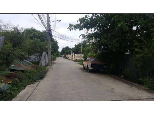 Wที่ดินถมแล้ว 99 ตรว. อยู่หัวมุมถนนในซอยสุขาภิบาล5