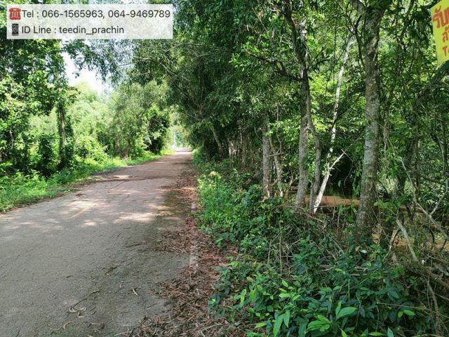️ขายที่ดิน ที่สวน ที่ในหมู่บ้าน ติดถนนลาดยาง น้ำไฟ้ฟ้าพร้อม เขตกบินทร์บุรี เนื้อที่ 5-1-48 ไร่