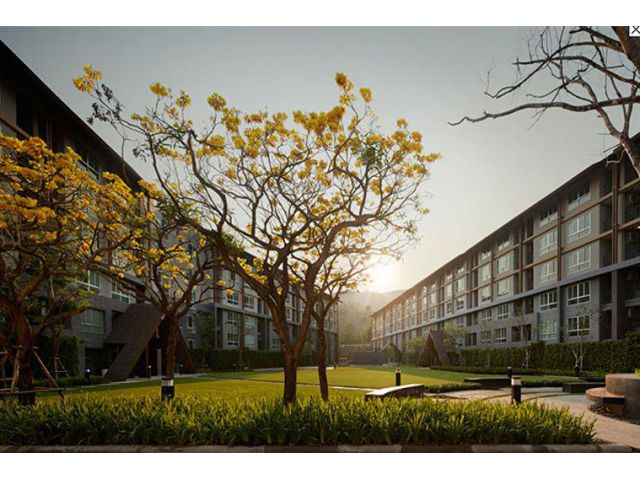 ขาย/ให้เช่า  D Condo Campus   หลัง มช. ต.สุเทพ  อ.เมืองเชียงใหม่ จ.เชียงใหม่
