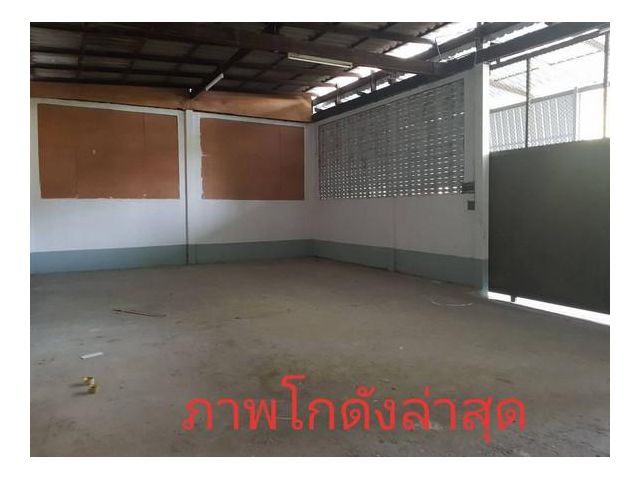 ให้เช่าโกดัง คลังสินค้า 50 ตร.วา ลาดพร้าว 51
