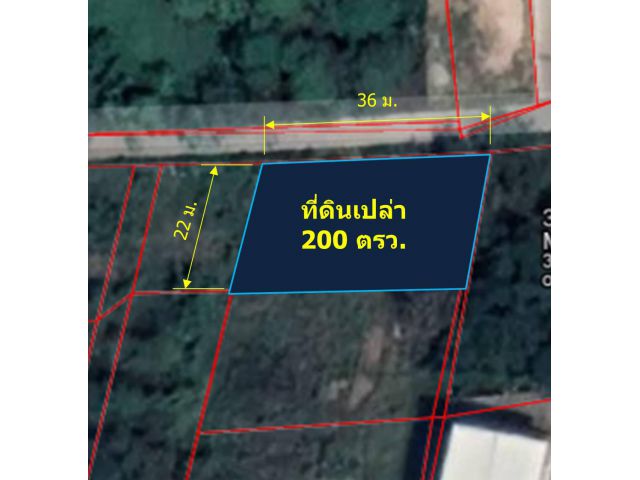 ขายที่ดินเปล่า  200 ตรว.  (ด้านหลังมหาวิทยาลัยเชียงใหม่  ต.สุเทพ  อ.เมืองเชียงใหม่  จ.เชียงใหม่)
