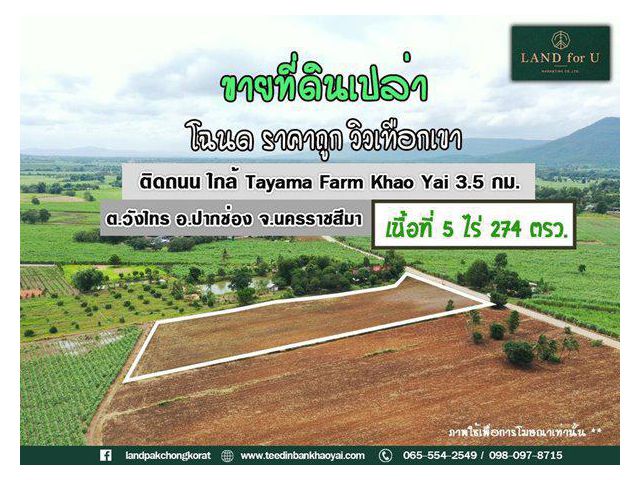 ขายที่ดินติดถนนราคาถูก!! ขายที่ดินปากช่องเขาใหญ่-บ้านคลองม่วง ใกล้TayamaFarmKhaoYai 3.5 กม.