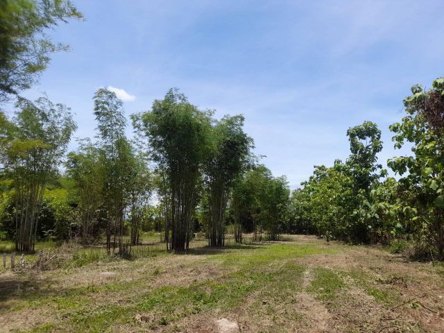BSPT0013 ขายที่ดิน  พร้อมเอกสารสิทธฺ์   โฉนด  ที่ดินทำเลสวย   ใกล้ถนนเส้นหลัก  ที่ดินมีขนาด  74.776 ตรว.