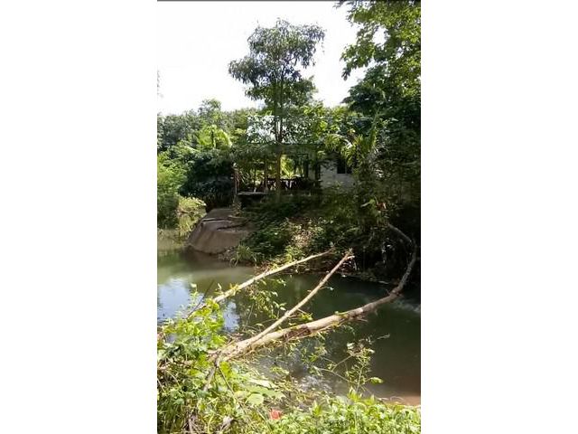 ขายที่ดิน สวนยางพารา