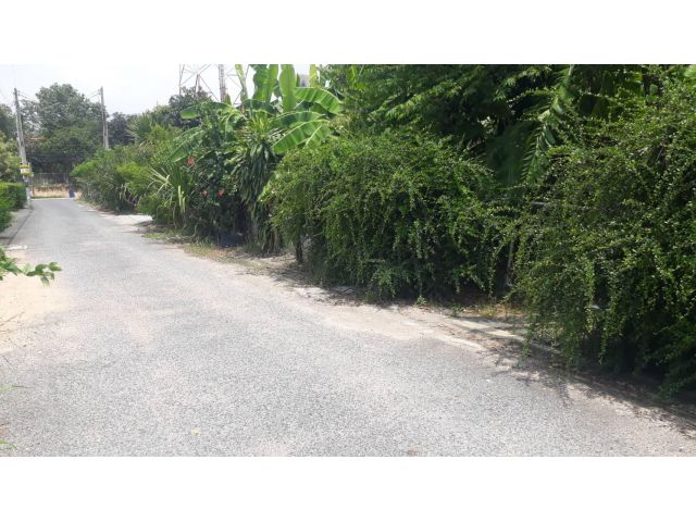 ที่ดิน 2 งาน บางละมุง ใกล้โรงเรียนศรีสุวิช ตลาดโรงโป๊ะ แบ่งซื้อได้
