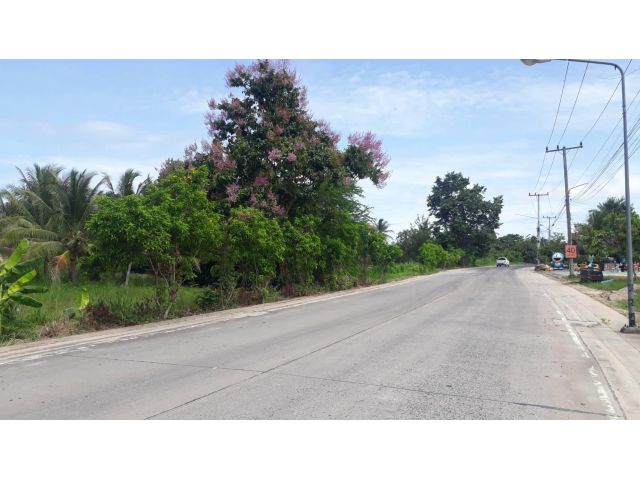 ที่ดิน 3 ไร่ ตะเคียนเตี้ย หน้าถนนหลัก หนองแขวะ-ตะเคียนเตี้ย