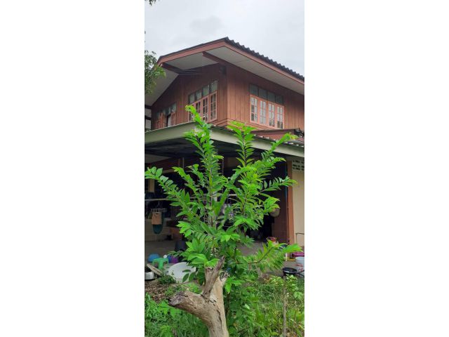 ขายบ้านพร้อมที่ดิน 1.7 ลบ. ขายถูกมาก!!! อ.หนองขาหย่าง จ.อุทัยธานี