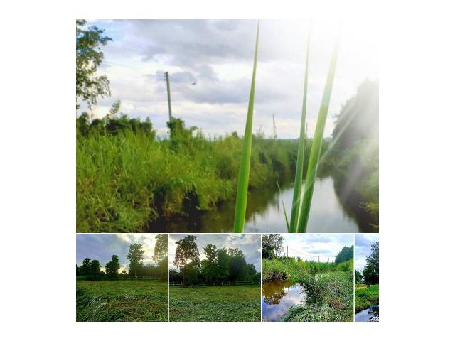 ขายที่ดินวิวสวยแม่น้ำ  หลังภูเขา อ.แม่แตงราคาถูก