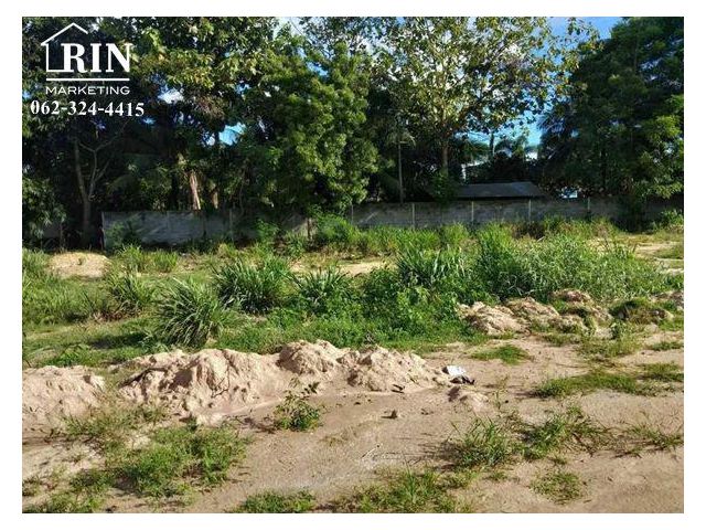 รหัสทรัพย์ : AK300721-01 ที่แบ่งล็อค 120 ตร.ว ต.หนองอิรุณ อ.บ้านบึง ชลบุรี