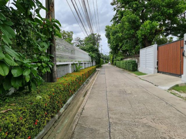 PJL477 ขายที่ดินสวยมาก เนื้อที่ 197 ตรว สุขุมวิทซอย 101 สถานีรถไฟฟ้าปุณณวิถี