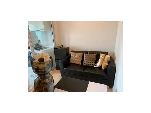 คอนโด the tree sukhumvit 71 ราคาพิเศษ