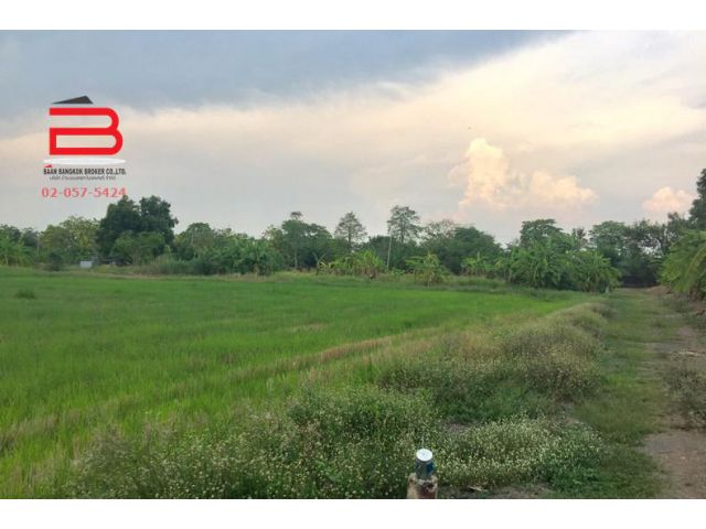 ที่ดินเปล่าจัดสรร สวนสุธิดา 1 เนื้อที่ 2 ไร่ ถนนรังสิต-นครนายก อ.หนองเสือ จ.ปทุมธานี