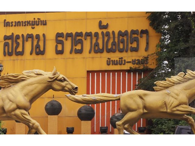 ที่ดินจัดสรร ถนนชลบุรี-บ้านบึง ชลบุรี
