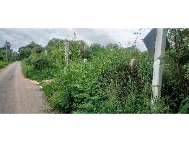 ขาย ที่ดินเปล่า 1 ไร่ อำเภอท่าวุ้ง จังหวัดลพบุรี