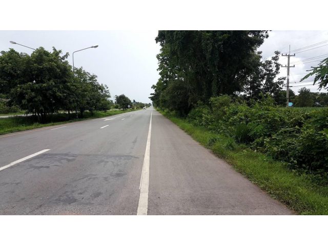 ขายด่วนที่ดินสวย ติดถนนมะลิวัลย์ 30 เมตร