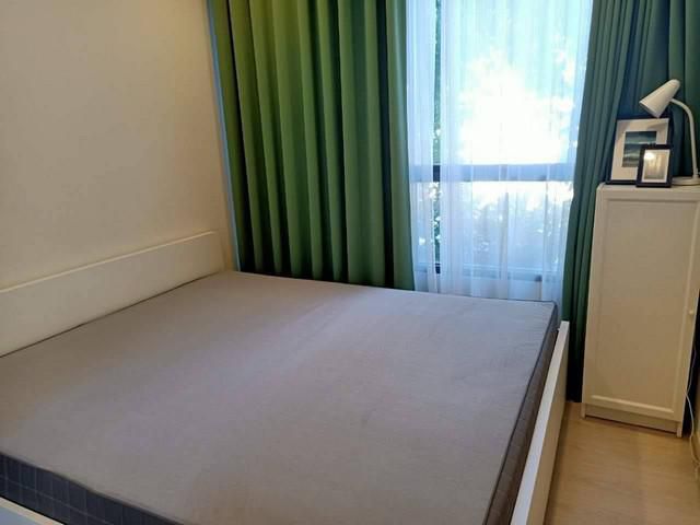 TWR500-CR328 The Tree Sukhumvit 64  41 sqm