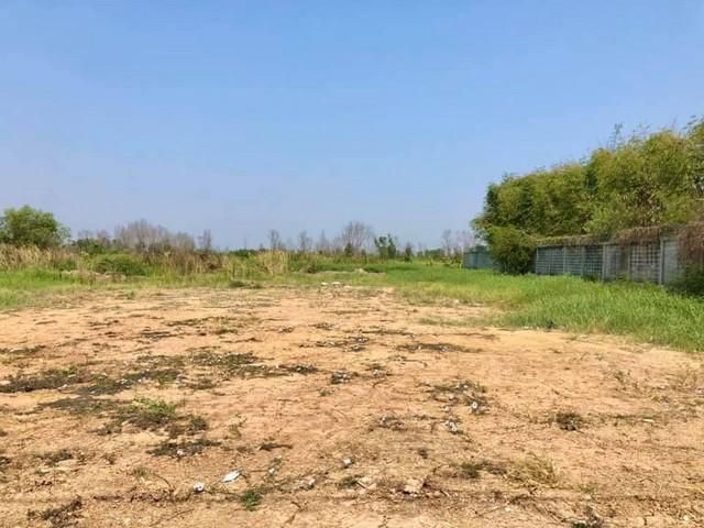 DD7ขายที่ถมแล้ว คลองหลวงสี่ตะวันตก19 ปทุมธานี ใกล้โรงงานอุตสาหกรรม เนื้อที่ 2ไร่    ติดต่อคุณ สมศักดิ์ Tel: 0982686161
